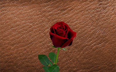 Tetrahydro Geraniol molecular structure or representation