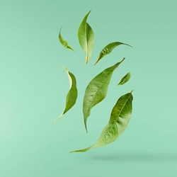 Theaspirane molecular structure or representation