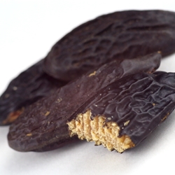 Tonka Bean Absolute molecular structure or representation