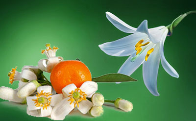 Verdantiol molecular structure or representation