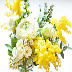 Violiff (Iff) molecular structure or representation