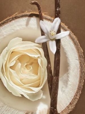 Image for Coconut Lovers
