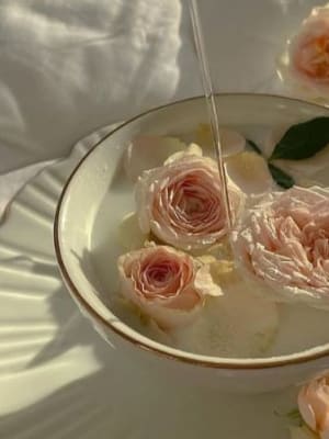 Image for Tea Rose