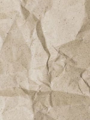 Image for Paper Accord