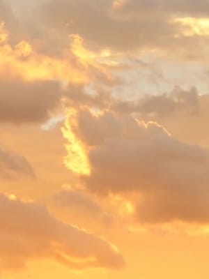Image for Sunshine by Amouage