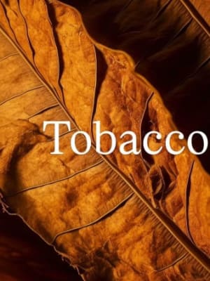Image for Tobacco Key Accord