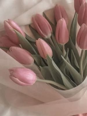 Image for Tulip Key Accord