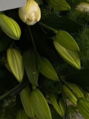 Image for Accord N° 208694 Floral Green Musk (Firmenich)