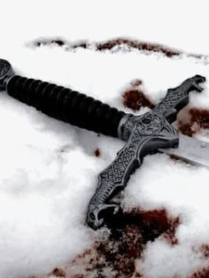 Image for Winter Violence