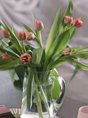 Image for Accord N° 203435 Floral green (Firmenich)