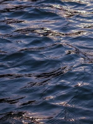 Image for River in Summer