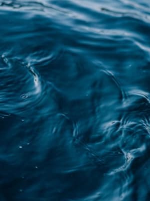 Image for Aquatic Accord