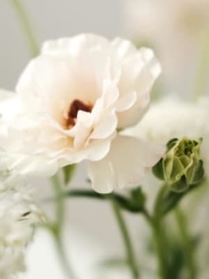 Image for Accord N° 208009 Fruity Floral (Firmenich)