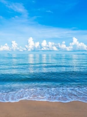 Image for Sea Salt Accord