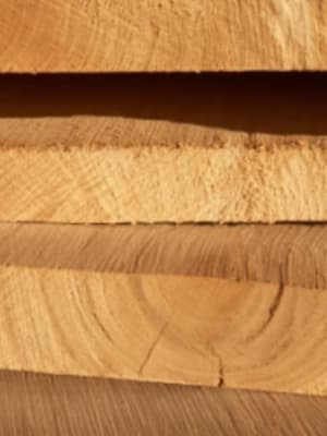 Image for Cedar Akkord