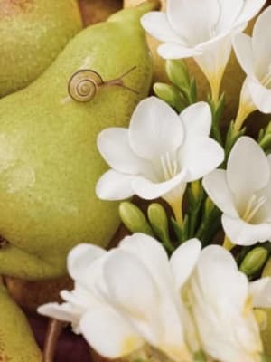 Image for Pear & Freesia Accord