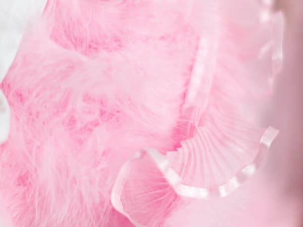 Image for Pink Musk