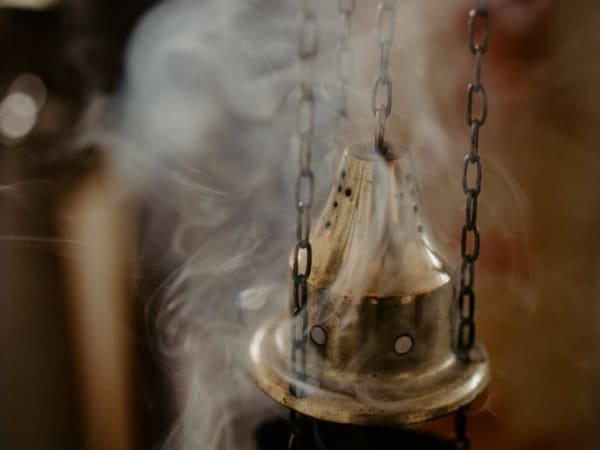 Image for Olibanol 10