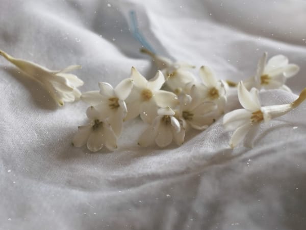 Image for Tuberose No.2 Base
