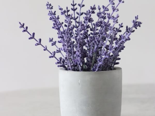 Image for Lavender Type Yardley