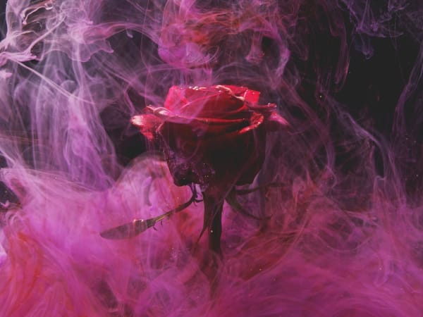 Image for Rose M S (perfume)