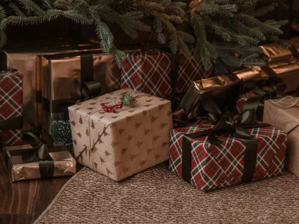 Image for Under the Christmas tree