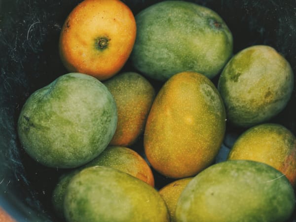 Image for Unripe Mango Accord