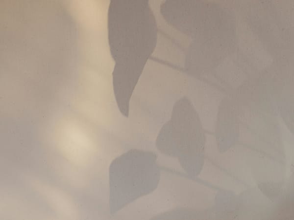 Image for Enlasse-Moi Accord