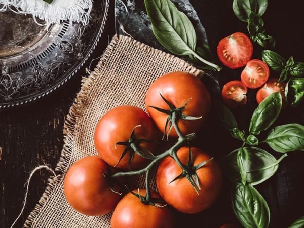 Image for Tomato Leaf Key Accord