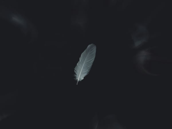 Image for Indochine Noir