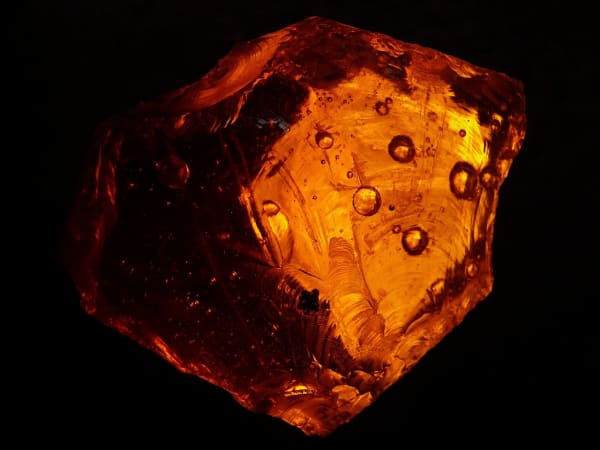 Image for Amber Accord