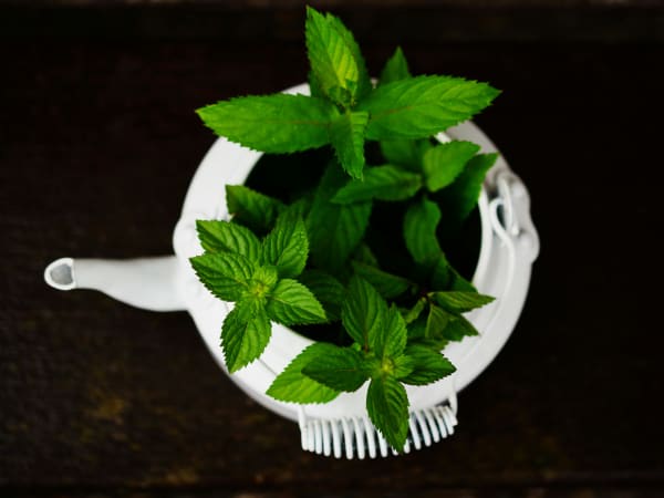 Image for Herbal base 10