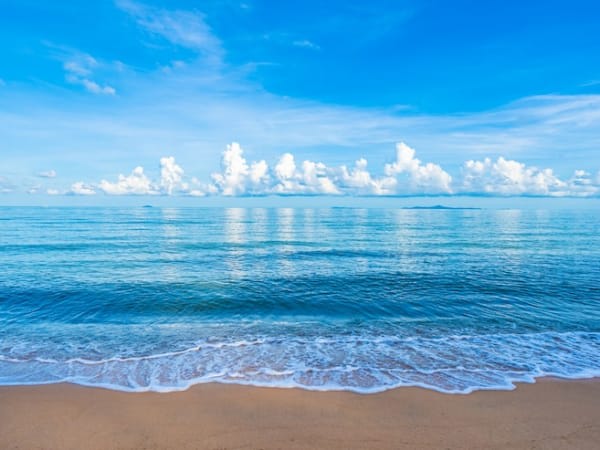 Image for Sea Salt Accord