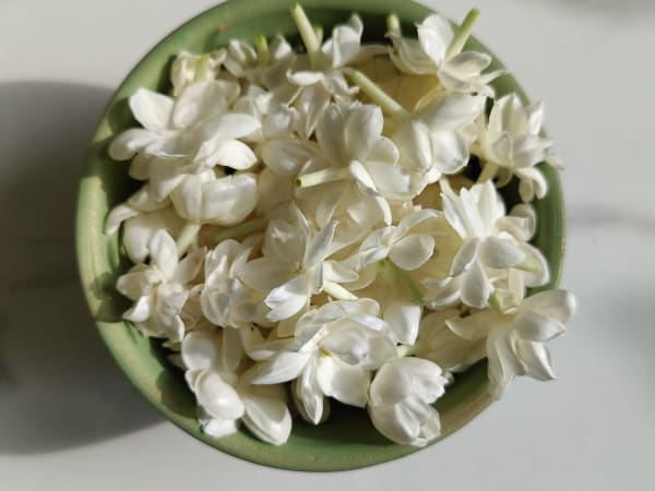 Image for Jasmin no. 2