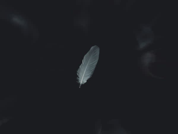 Image for Indochine Noir