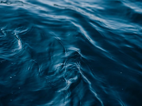 Image for Aquatic Accord