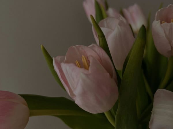 Image for Accord N° 207869 Powdery Floral (Firmenich)