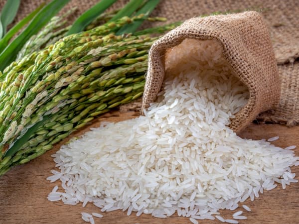 Image for Jasmine Rice Accord