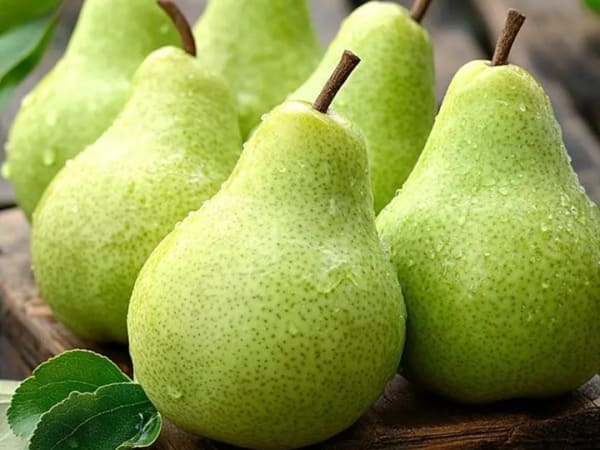 Image for Pear Accord