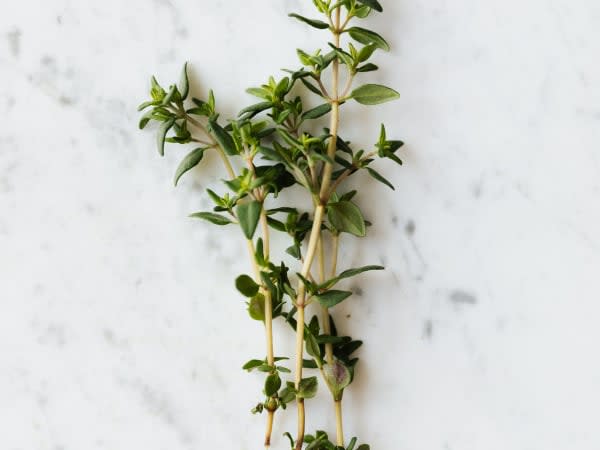Image for Synthetic Thyme Base