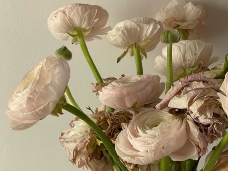 Image for Accord N° 207823 Fougere Herbal Floral (Firmenich)