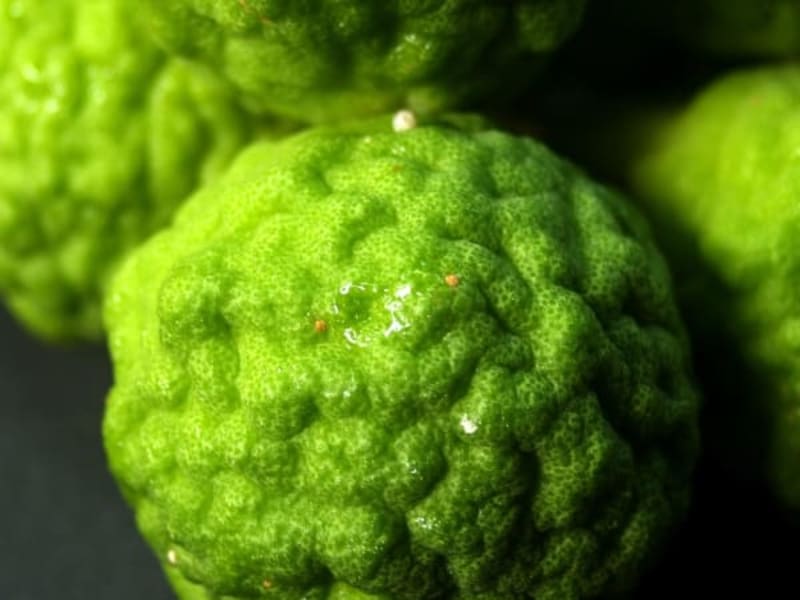 Image for Bergamot Imitation 20