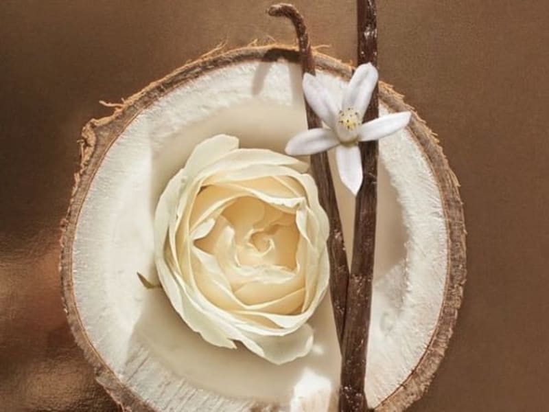 Image for Coconut Lovers