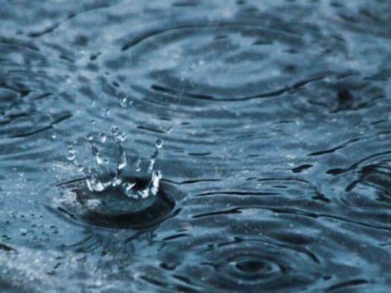 Image for Rain Accord