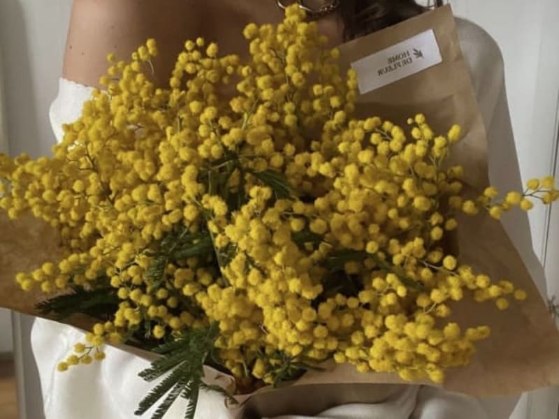 Image for Mimosa Accord