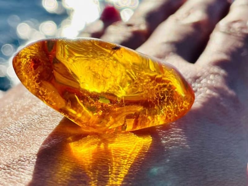 Image for Primitive Ambergris