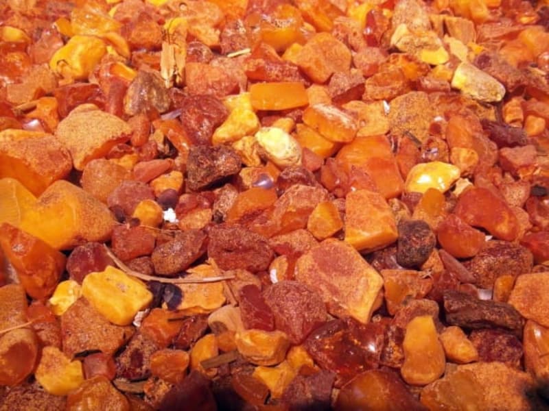 Image for Amber Musk Accord