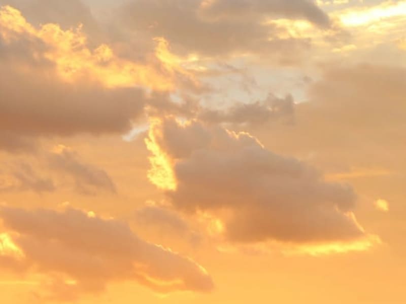 Image for Sunshine by Amouage