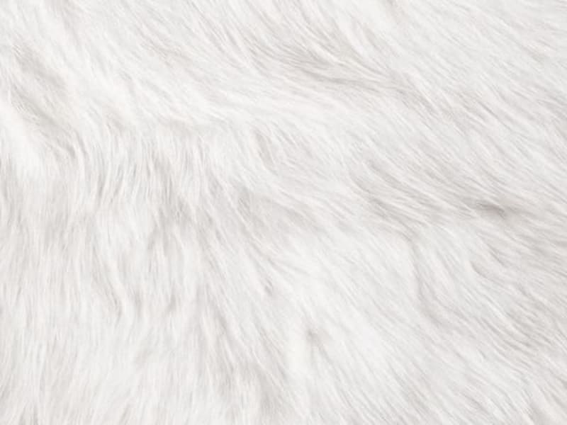 Image for White Musk Accord