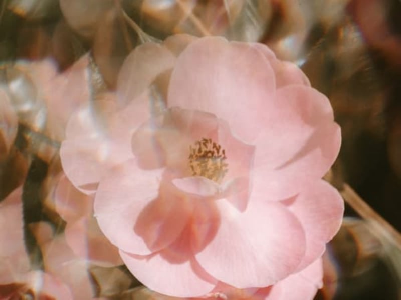 Image for Aldehyde blend for cyclamen 1